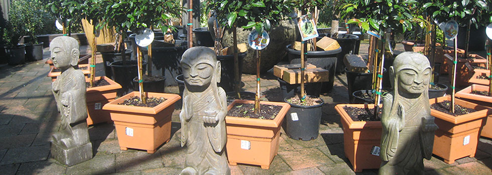 Landscaping Features Tombong